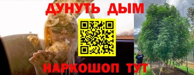 твердый Лесосибирск