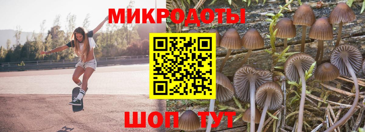 Галлюциногенные грибы Magic Shrooms Урус-Мартан
