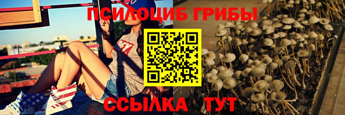 Галлюциногенные грибы Cubensis Урус-Мартан